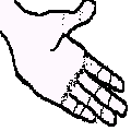 brldebut.gif (6809 bytes)